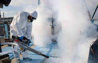 Uşak Belediyesi haşerelere karşı gereken önlemleri...