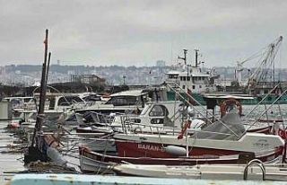 Uyanık lüfer Karadeniz zekasını kullandı: Denizlerde...