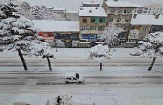 Uzmanından Bitlis için "kar ve su hasadı"...