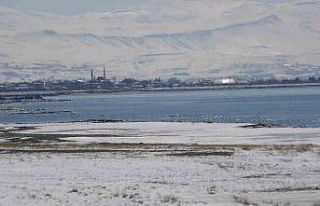 Uzmanlardan Van Gölü Havzası için uyarı: Kar...