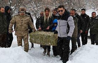 Vali Aygöl, yaban hayvanları için kolları sıvadı