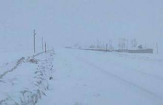 Van-Çatak kara yolu yeniden ulaşıma kapatıldı