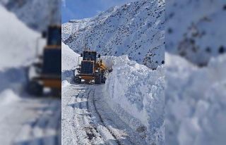 Van-Çatak karayolu ulaşıma açılmaya çalışılıyor
