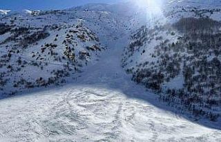 Van-Çatak yolu çığ düşmeleri nedeniyle 4 gündür...