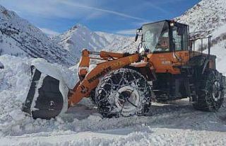 Van-Çatak yolu kontrollü olarak ulaşıma açıldı