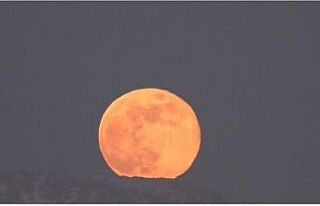 Van’da 2026’nın ilk gökyüzü şöleni: "Kurt...