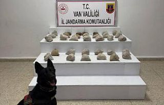 Van’da 24 kilo eroin ele geçirildi