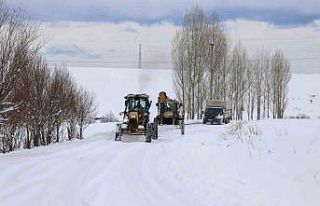 Van’da kardan kapanan 363 yoldan 230’u açıldı