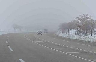 Van’da sis ulaşımı olumsuz etkiledi