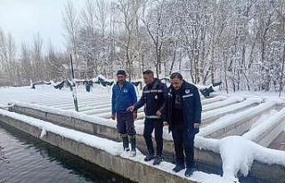 Van’da zorlu kış şartlarında alabalık üretimi...