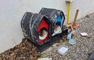 Vatandaşlardan sokak hayvanları için örnek davranış