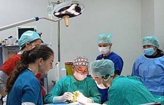 Veteriner Fakültesinde 3 bin hayvana şifa