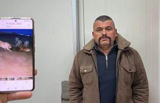 Yaban domuzunu elleriyle yakaladı