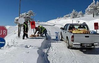Yaban hayvanları için ormana yem bıraktılar