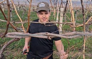 Yağmur bitti, çiftçi bağlara koştu