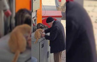 Yaşlı adamın sokak kedilerine şefkati yürekleri...