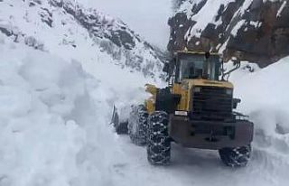 Yayla yolları için seferber oldular