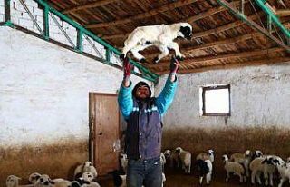 Yeni yıl bereketiyle geldi: Soğuk hava ile birlikte...