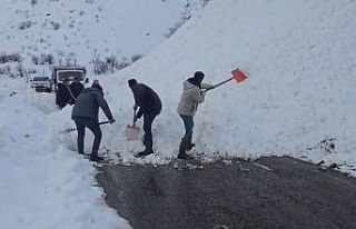 Yola düşen çığı vatandaşlar küreklerle kaldırdı