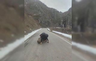 Yola düşen kayayı otomobilleriyle çektiler