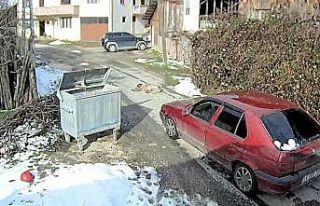 Yolda yatan köpeği ezip, yoluna devam etti