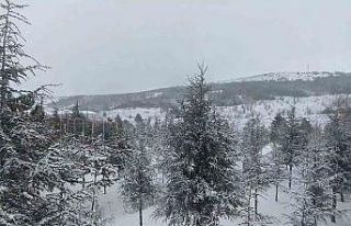 Yozgat beyaza büründü