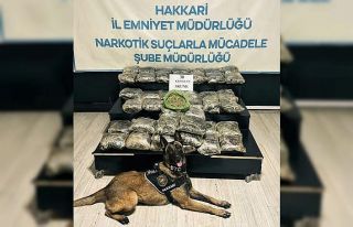 Yüksekova’da 30 kilo Skunk ele geçirildi: 2 şüpheli...