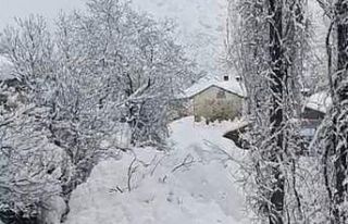 Yüksekova’da çığ yerleşim yerine indi: Facianın...