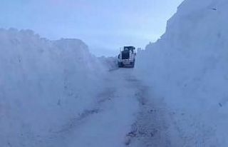 Yüksekova’da karla mücadele: İş makineleri boyunu...