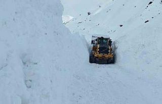 Yüksekova’da mezra yoluna düşen çığ temizlendi