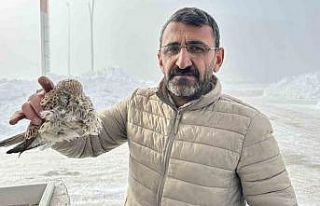 Yüksekova’da yürek burkan manzara: Konduğu yerde...