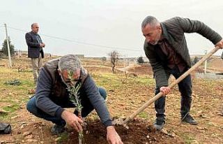 Zeytinli Mahallesi sıfır atık köyü olma yolunda...