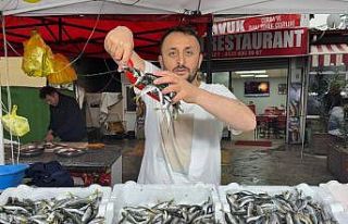 Zonguldak’ta istavrit tezgahta 100 liradan satıldı