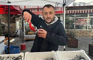 Zonguldak’ta tezgahlar istavritle şenlendi