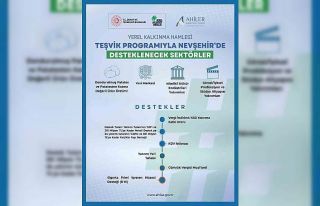 2026 yerel kalkınma hamlesi teşvik programı yatırım...