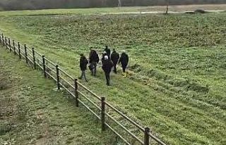 20 yıl önce işlenen 3 cinayet ekipler titiz çalışması...