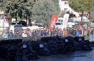 50 bin adet üzümsü fidan dağıtıldı