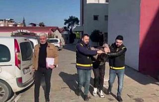 Adana’da 7 hırsızlık olayına karışan şüpheli...