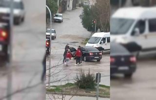 Adana’da bir kadının karıştığı sopalı kavga...