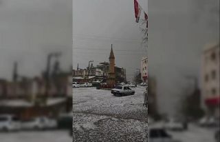 Adana’da dolu yağışı etkili oldu