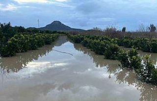 Adana’da şiddetli yağış, tarlaları sular altında...