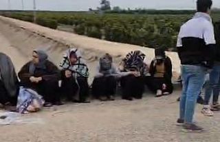 Adana’da trafik kazası: 1’i ağır 7 tarım işçisi...