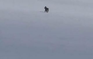 Adilcevaz’da kar üzerinde vaşak görüntülendi