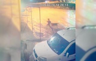 Adıyaman’da sahipsiz köpek dehşeti: 10 yaşındaki...