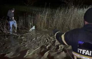 Adıyaman’da sele yakalanan araç suya gömüldü