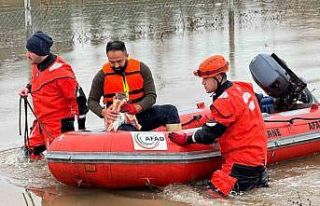 AFAD mahsur kalan hayvanları tahliye ediyor