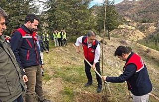 Afyonkarahisar’da 2 bin kestane fidanı toprakla...