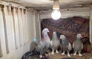 Ağrı’da dondurucu soğuğa rağmen 7 yıldır...