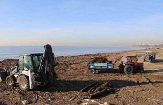 Akdeniz Belediyesinden sel sonrası yoğun çalışma