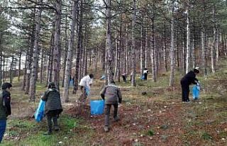 Akşehir’de orman yangınlarına karşı örnek...
